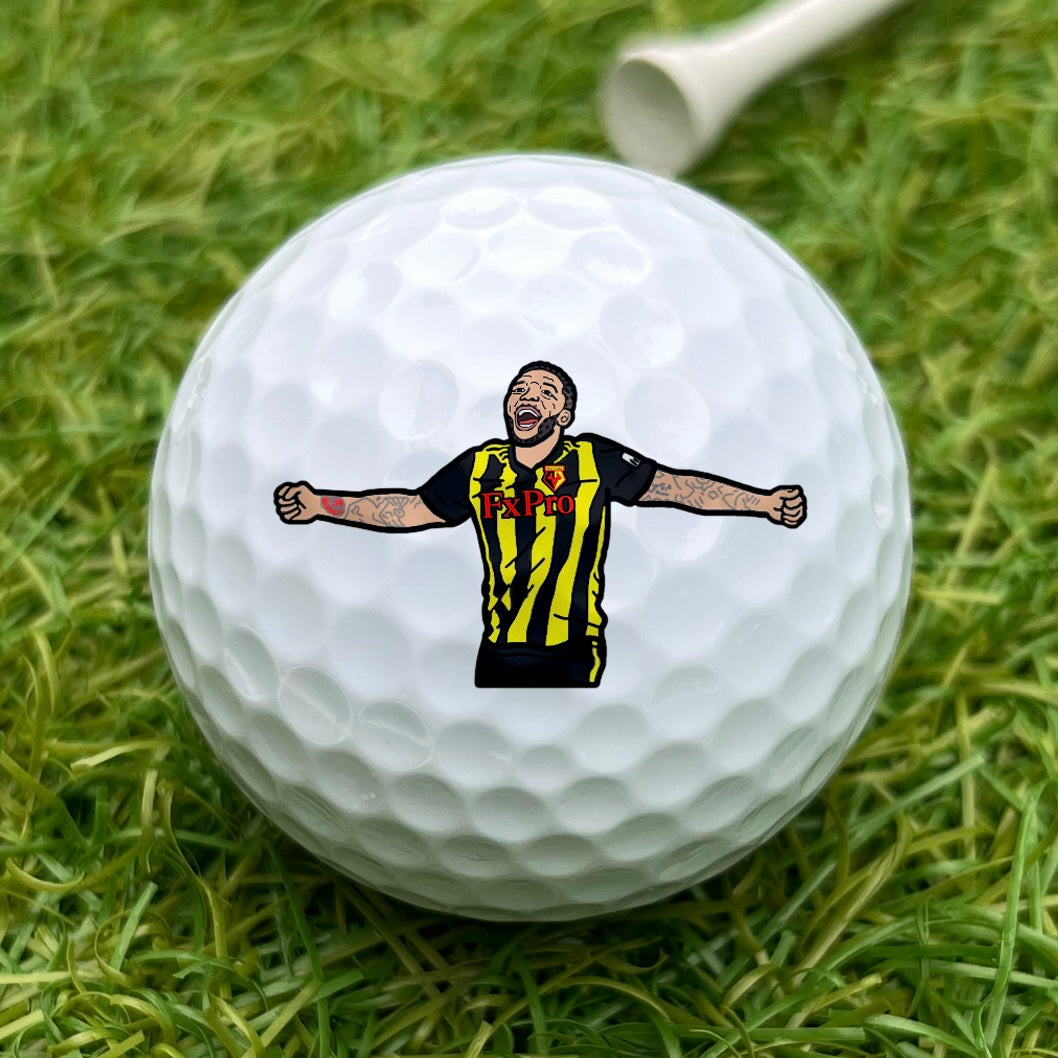 Troy Deeney Ball