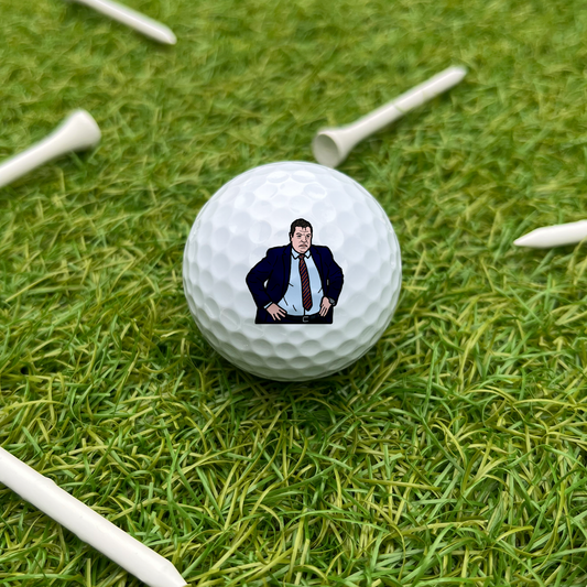 Sam Allardyce Ball