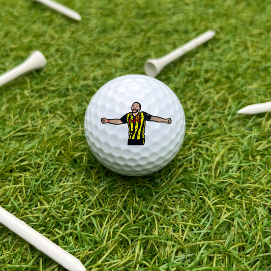 Troy Deeney Ball